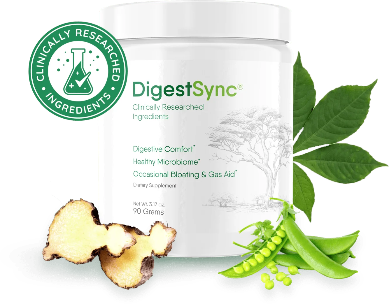 digestsync gut health support